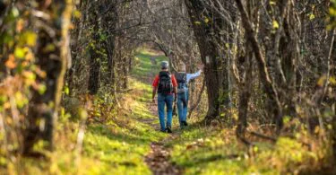 5 Attractive Small Towns to Visit Along the Appalachian Trail