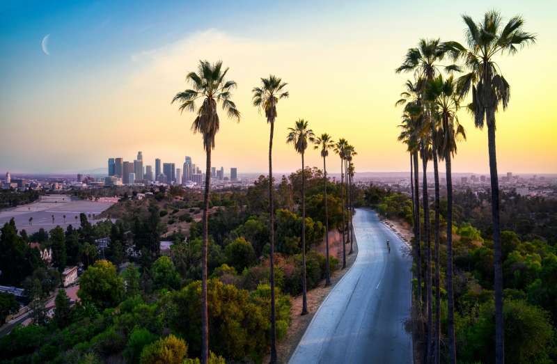 Los Angeles City View