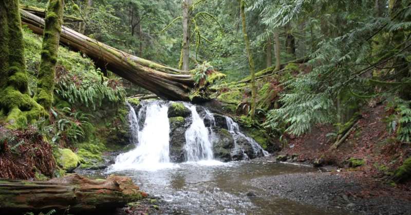 Southend Campground, Moran State Park, Washington